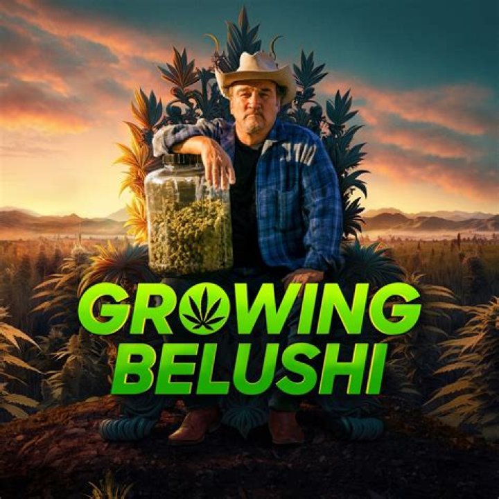 'Growing Belushi' goes inside Jim Belushi's cannabis empire