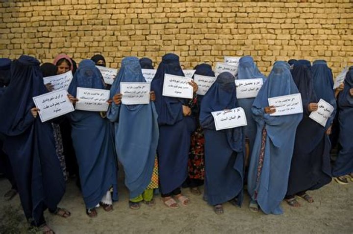 'I'd be pulling for Afghanistan' vs. Alabama