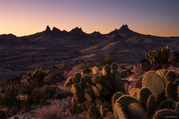 145 frozen people are waiting to be resurrected in the Arizona desert