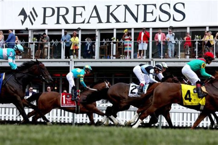 2023 Preakness Stakes odds, picks, predictions, best bets