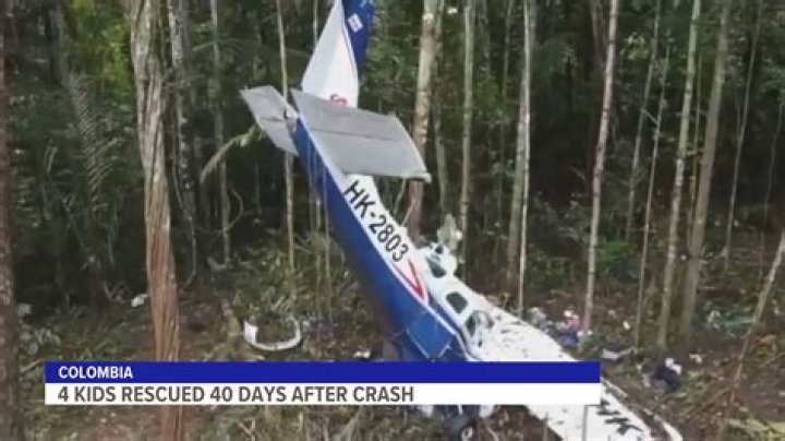 4 kids lost in the jungle for 40 days after a plane crash found alive in Colombia