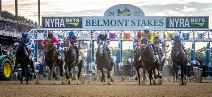 $455M taxpayer loan for Belmont on track despite no local input