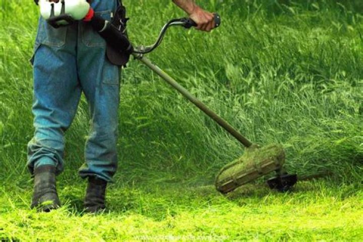 8 best weed wackers for a pristine lawn in 2023, per reviews
