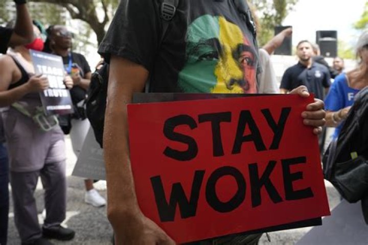 A welcome slapdown for woke left hypocrisy on 'threats to democracy'