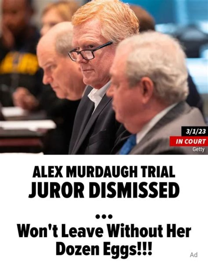 Alex Murdaugh juror needed to retrieve '12 eggs' from court