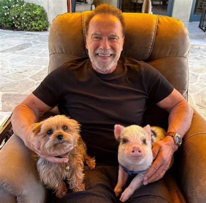 Arnold Schwarzenegger feeds son-in-law Chris Pratt’s kids the same food as his pet pig