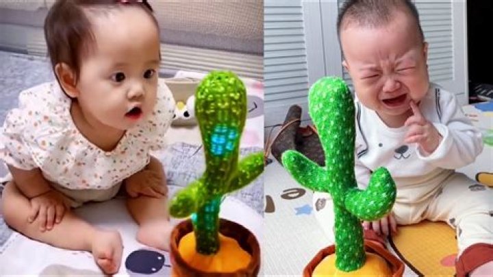 Baby gets in shouting match with cactus toy (Video)