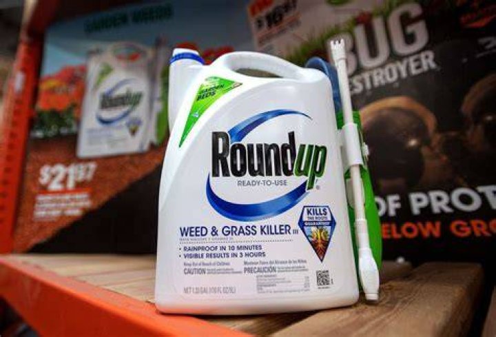 Bayer to pay $2.25B after jury says Roundup weed killer caused cancer
