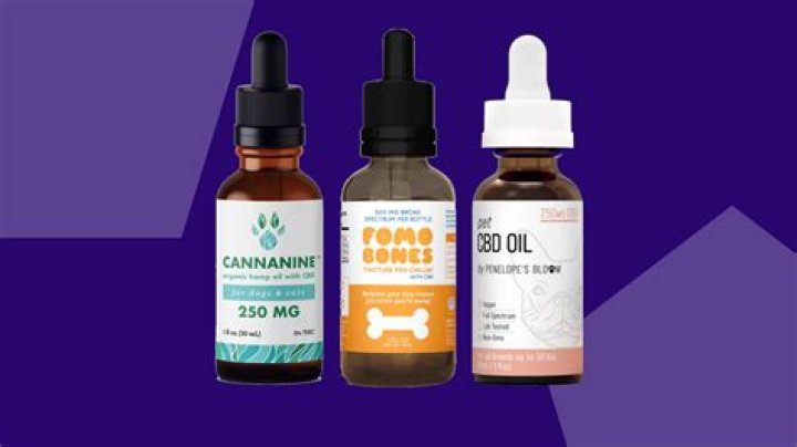 Best CBD oils, treats, more products for dogs, per veterinarians