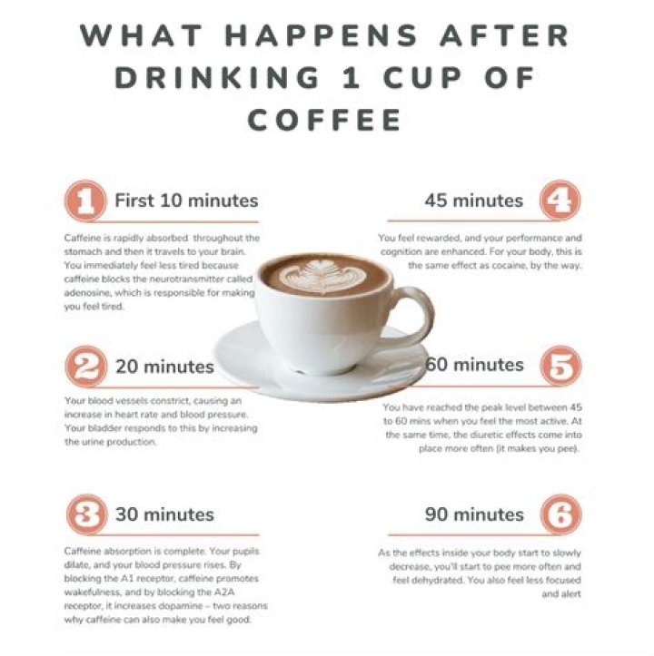 Best times of day to drink coffee to boost energy: sleep doc