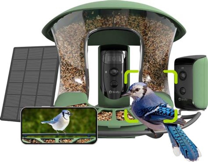 Bird Buddy camera-equipped bird feeder is 20% off