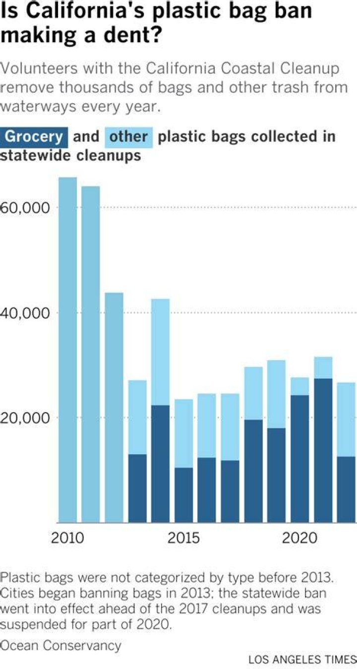 Blue states' bag bans are causing more plastic waste than ever
