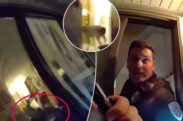 Body cam video shows woman grinning minutes after killing 2 people in drunken smash-up