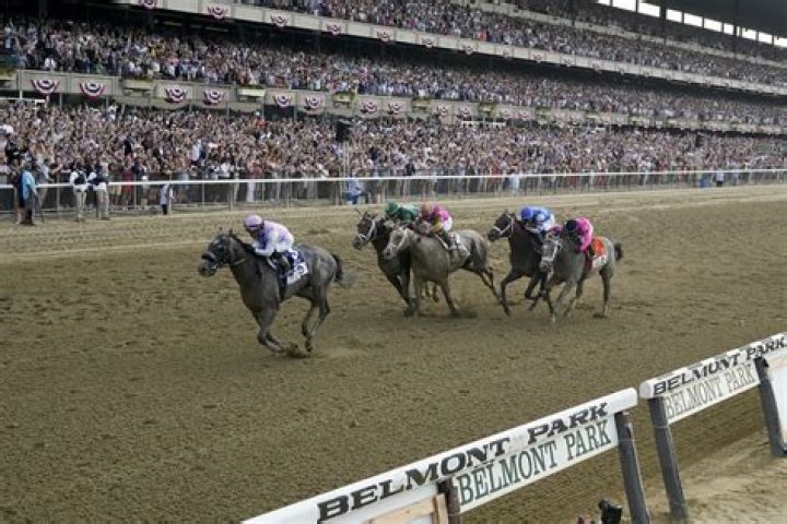 Breeders' Cup horse Practical Move dies, Arcangelo drops from $6M race