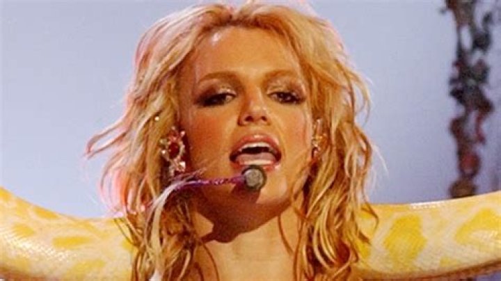 Britney Spears recalls 'terrifying' 2001 VMAs performance