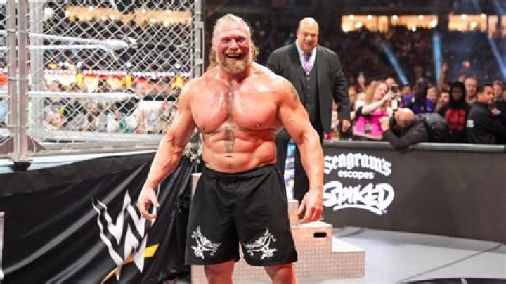 Brock Lesnar retires from UFC in middle of doping ban