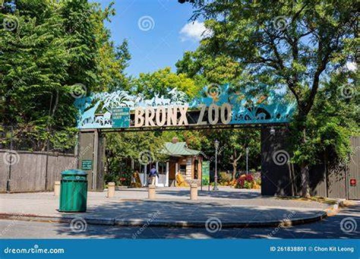 Bronx Zoo | New York Post