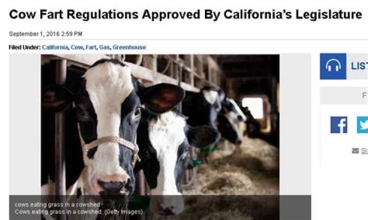 California regulates cow farts