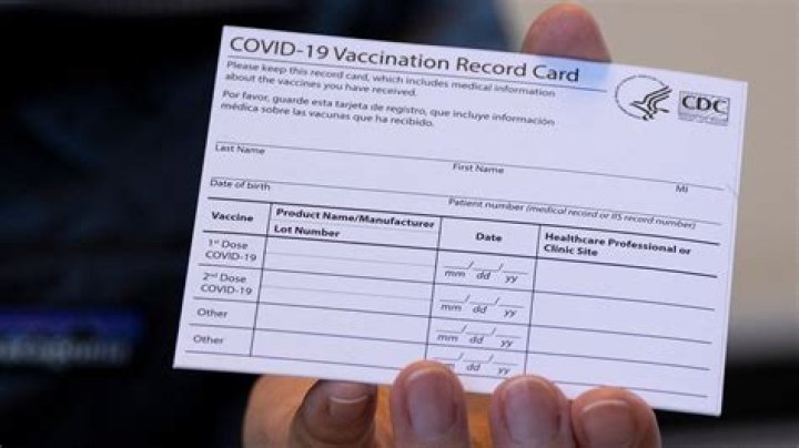 Camila Giorgi caught up in fake vaccine certificate scandal