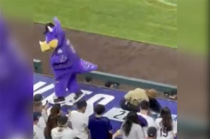 Colorado Rockies mascot Dinger attacked by fan during game
