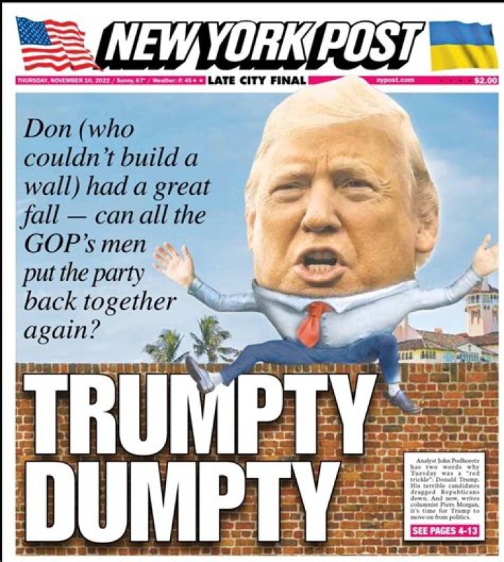 David Cross | New York Post