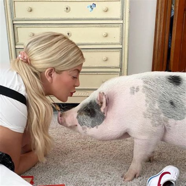 Dean McDermott says Tori Spelling invited her pet pig into their bed —ruining the marriage