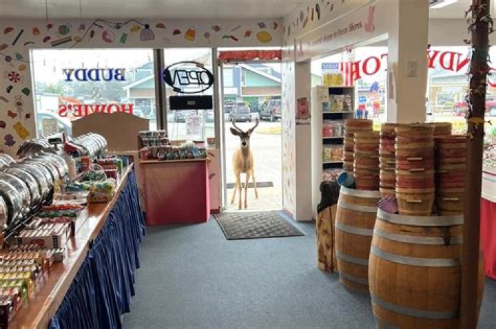 Deer takes a sweet stroll through a Washington candy shop
