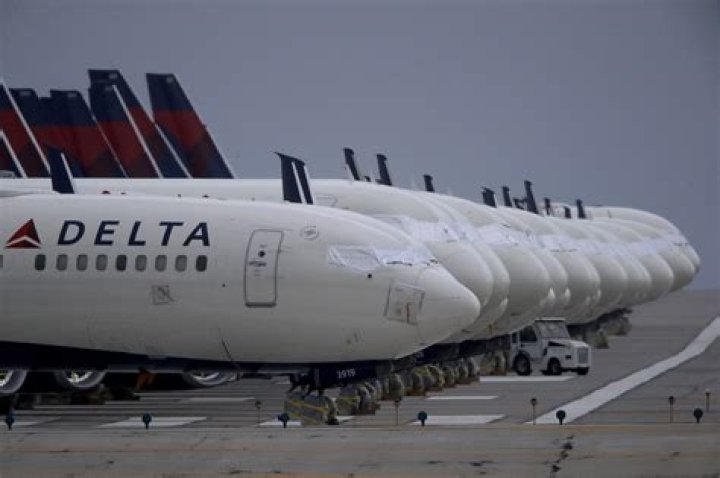 Delta passengers take dog out of plane on emergency slide