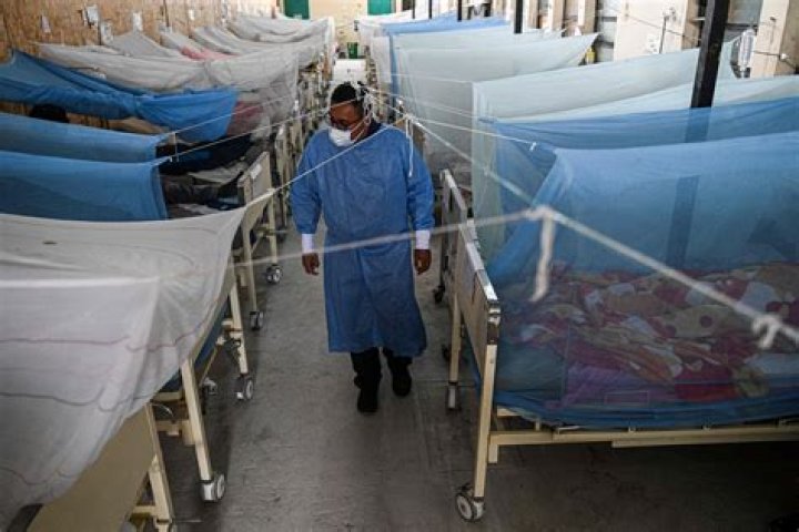 Dengue outbreak in Peru reaches 200K cases, 200 dead