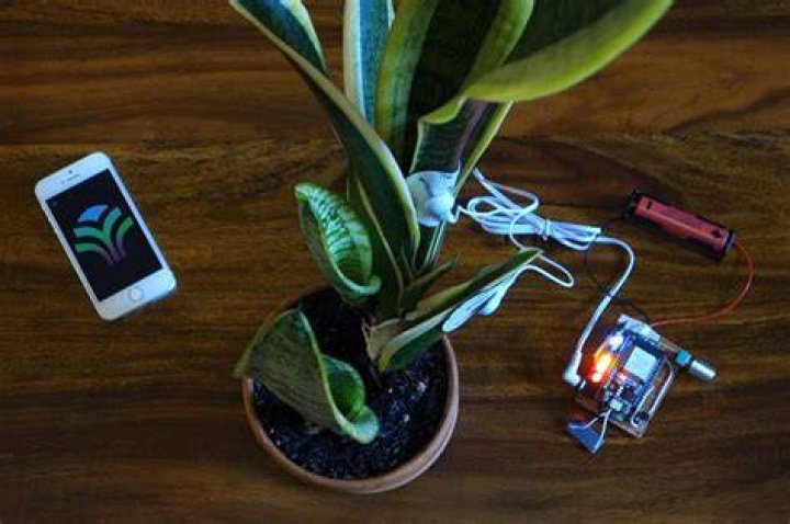 Device that allows plants to play music spawns kooky community