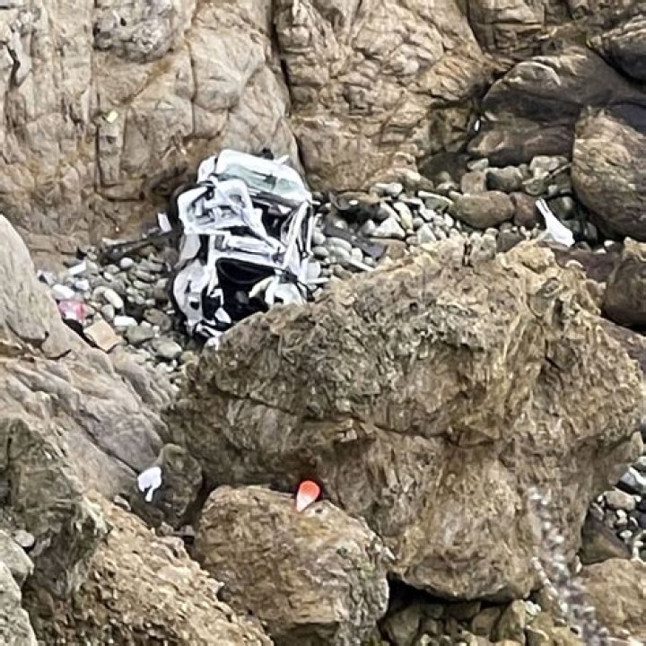 Dharmesh Patel accused of intentionally driving Tesla off Calif. cliff