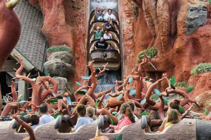 Disney visitors wait four hours for last ride on Splash Mountain