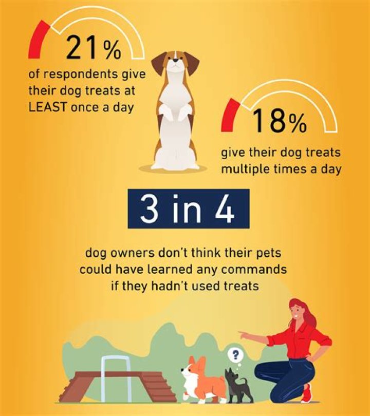 Dogs more likely to respond to the word ‘treat’ than their own name: poll