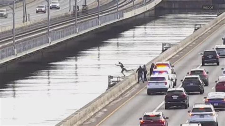 Dramatic video shows moment driver begs 'suicidal' man not to jump off bridge