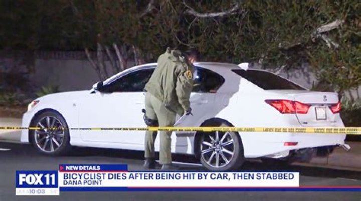 Driver mows down biking doctor before stabbing him to death on PCH: cops