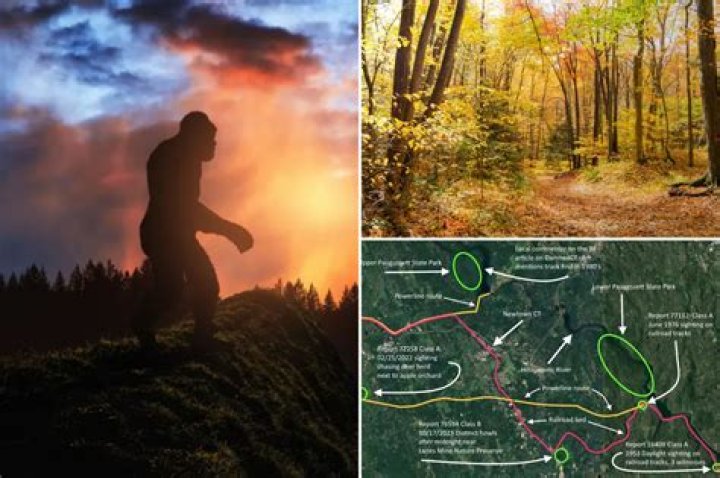Driver spots 'Bigfoot' walking across rural highway in Whitehall, New York