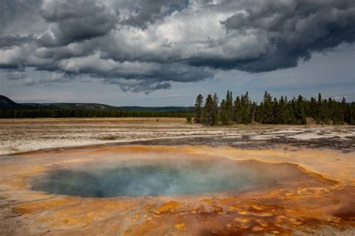 Drunk Michigan man Jason Wicks falls into Yellowstone hot springs thermal area, banned from park
