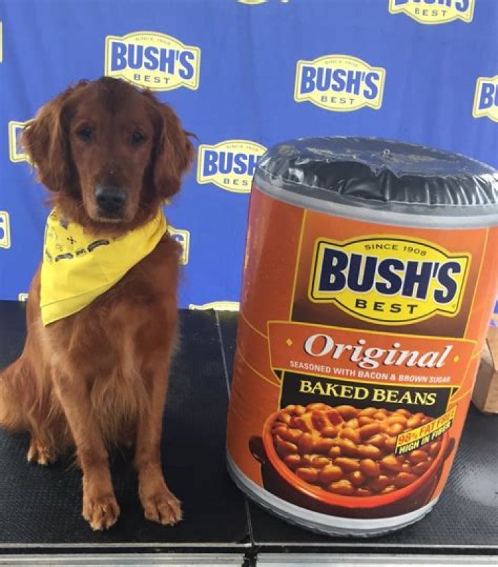 Duke from Bush's Baked Beans commercials dies of cancer