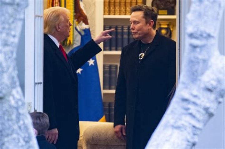 Elon Musk backs Gina Carano's lawsuit against Disney