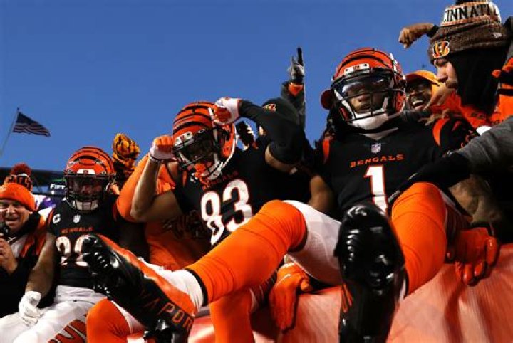 Erroneous whistle on Bengals TD pass sparks controversy