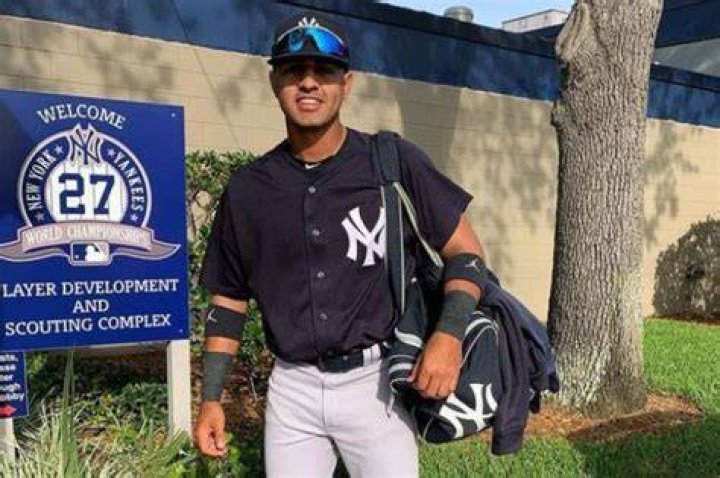 Ex-Yankees prospect Raimfer Salinas gets 80-game PED suspension