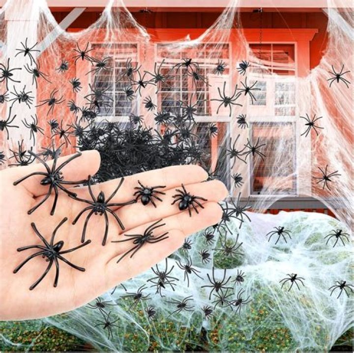 Fake spider webs shouldn't be used as Halloween decoration