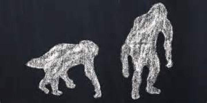 Family that walks on all fours baffles scientists, 'shouldn't exist'