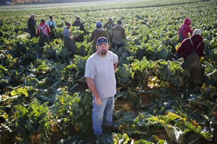 Farmers tell why US government will put them out of business