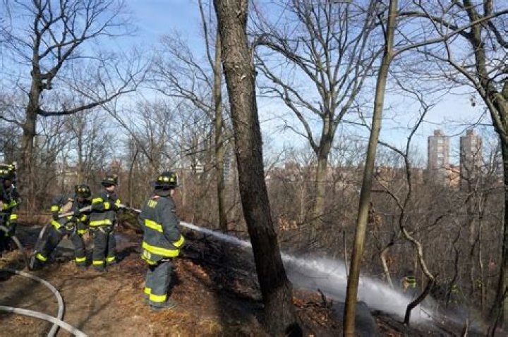 FDNY suspects arson after multiple brushfires burned in Central Park