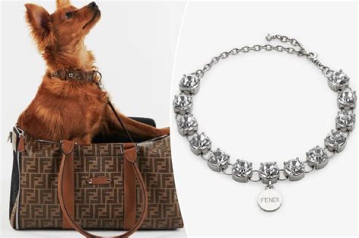 Fendi dog 'necklace' is the same price as human jewelry