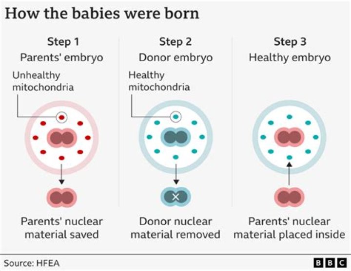 First babies born in Britain using DNA from three people