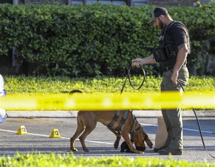 Florida Family of Taylen Mosley found in alligator speaks out