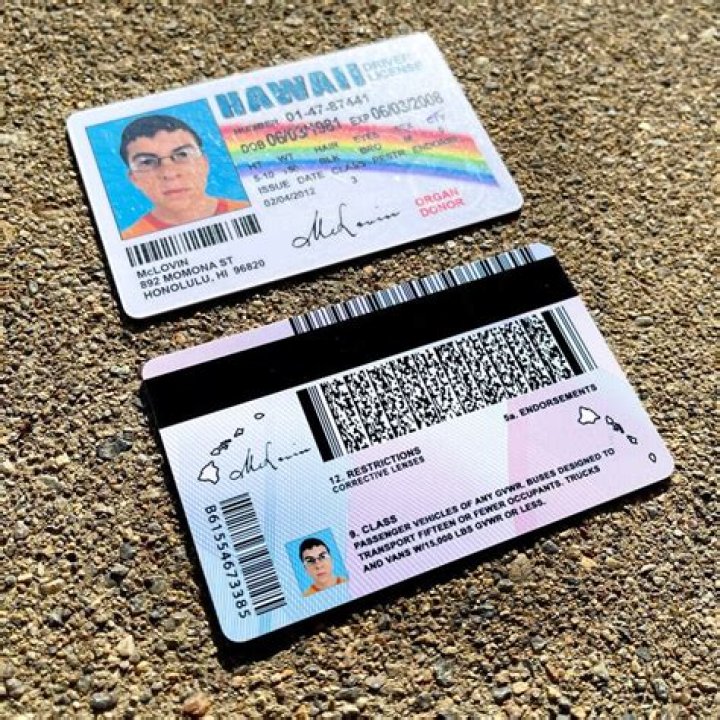 Florida man with fake 'MCLOVIN' license plate takes cops on 110mph motorcycle chase -- in 45mph zone