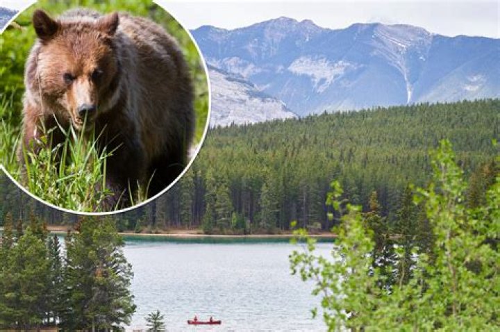 Fought bears and escaped home
